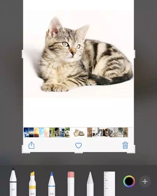 写真や画像のファイルがおかしい｜LINEのアイコン（プロフィール画像）が変更できない原因と対処方法