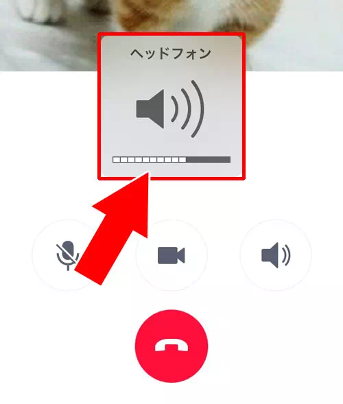 イヤホンを付けた時の音量設定が大きい、または小さい|LINEの無料通話で音量が大きい(または小さい)時の原因と対処方法