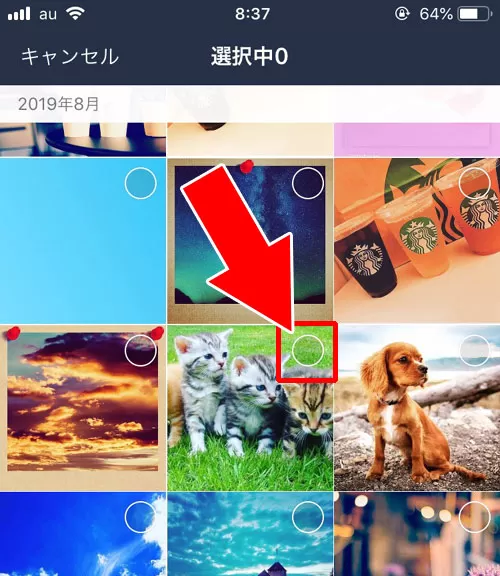 iphoneで画像や写真を一括保存する｜LINEの画像や写真を一括保存する方法【iphone・android・PC】