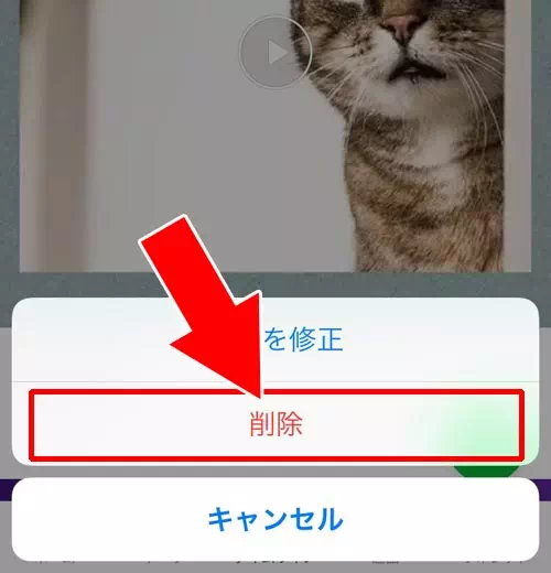 タイムラインからノートの投稿を削除するとノートはどうなる?|LINEでノートに投稿した時のタイムラインの仕組み!非表示や公開範囲の設定などはできません