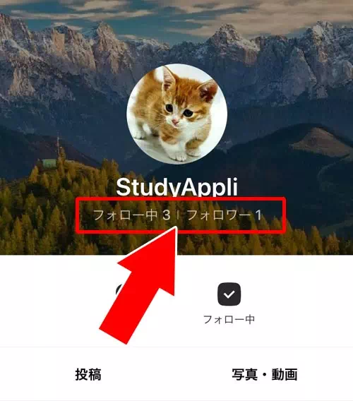 『フォローリストを公開』設定を変更するとどうなる?|LINEのフォロー機能とは?フォローのやり方や解除方法など使い方まとめ