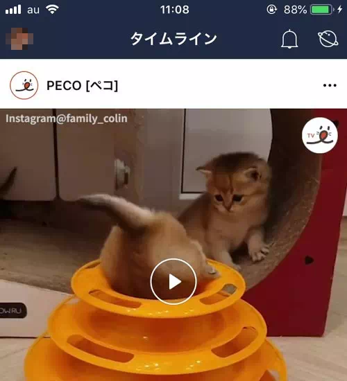 LINEでフォローの使い方(フォロー・フォロー解除)|LINEのフォロー機能とは?フォローのやり方や解除方法など使い方まとめ