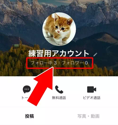 フォローリストの公開設定次第で友達のフォロー数も確認できる - プロフィールから確認する|LINEでフォロー数やフォロワー数の確認方法