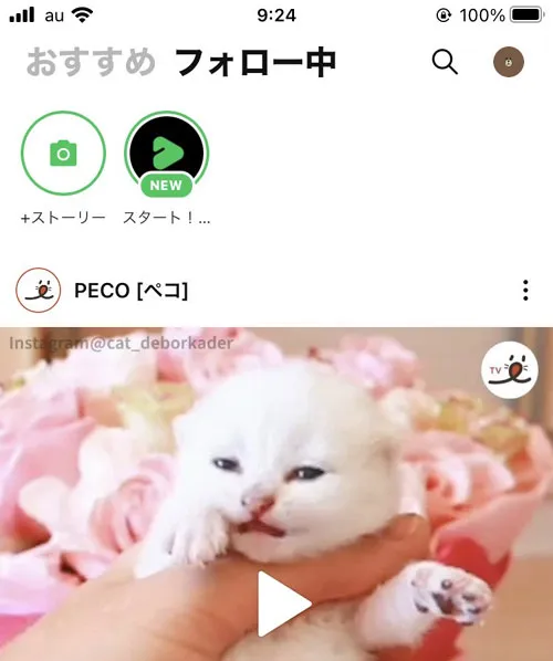 LINEでフォローの使い方(フォロー・フォロー解除)|LINEのフォローとは?フォローのやり方や解除方法など使い方まとめ