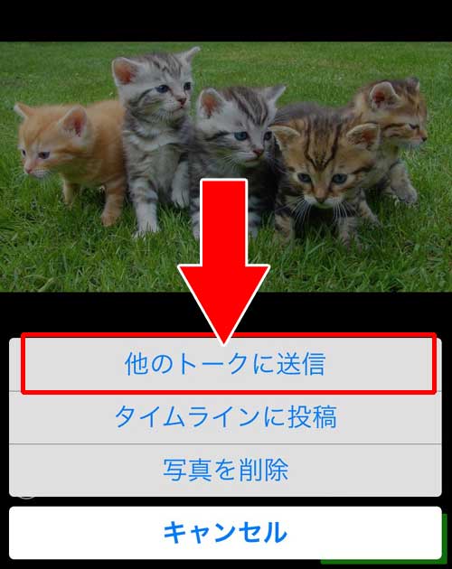 アルバム写真を他のトークへ転送する方法