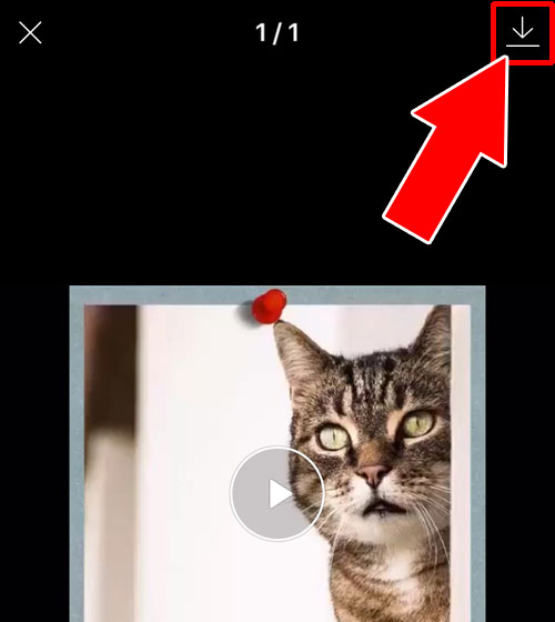 LINEノートに投稿された動画の保存方法