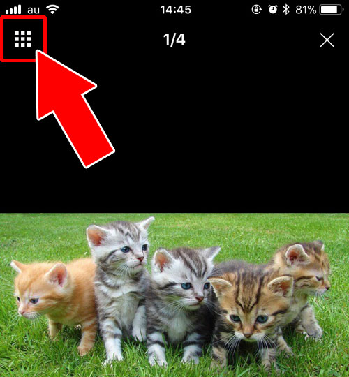 LINEで受け取った写真をアルバムに送信する方法【一括送信】