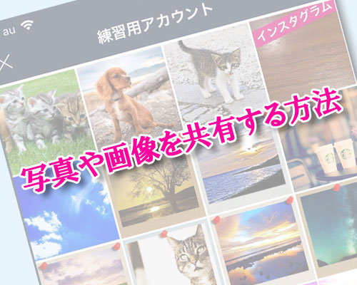 LINEで写真や画像を共有する3つの方法