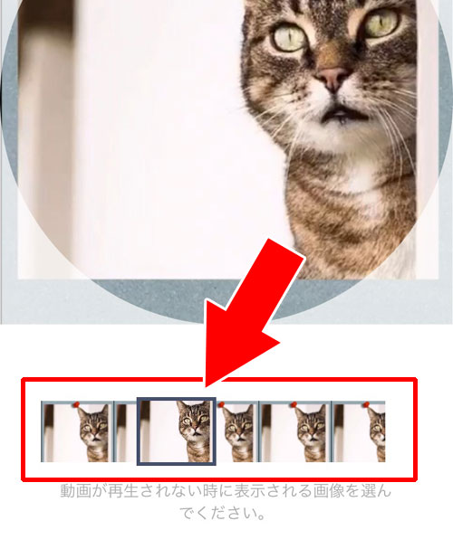 プロフィール画像の動画設定方法|LINEでプロフィール画像(動画)の設定、変更、保存方法まとめ