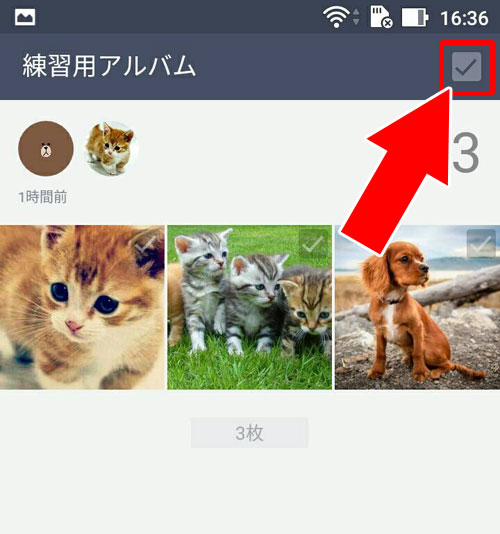 androidでアルバム写真の一括保存する方法|LINEのアルバム写真転送方法!友達に一括転送したい時はこの方法で対応しましょう