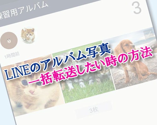 LINEのアルバム写真転送方法!友達に一括転送したい時はこの方法で対応しましょう