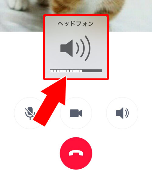 イヤホンを付けた時の音量設定が大きい、または小さい|LINEの無料通話で音量が大きい(または小さい)時の原因と対処方法