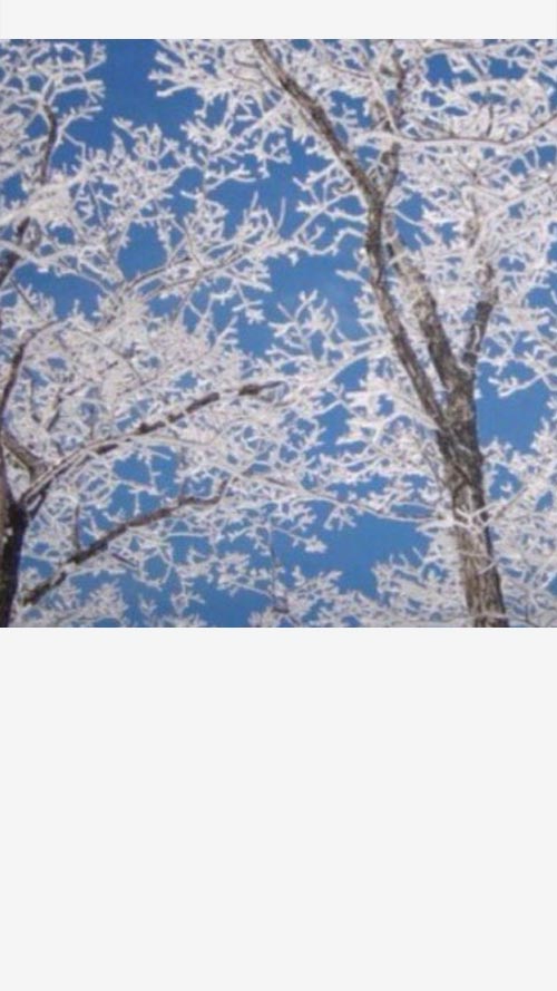 ホーム画面の初期画像一覧から保存(白色の余白)|LINEのホーム画面を初期画像(デフォルト)にする方法