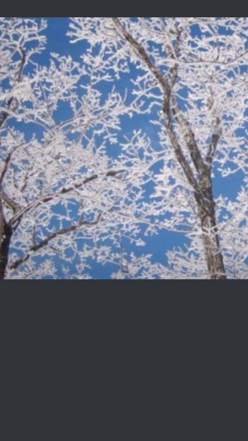 ホーム画面の初期画像一覧から保存(黒色の余白)|LINEのホーム画面を初期画像(デフォルト)にする方法
