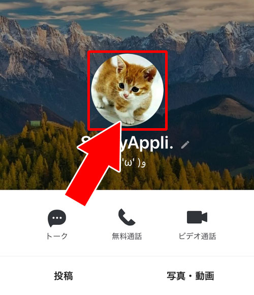 LINEのプロフィール画像を保存する方法|LINEのプロフィールで写真や動画の設定方法!変更や保存などのやり方もまとめて解説