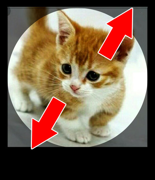プロフィール画像のサイズは?|LINEのプロフィールで写真や動画の設定方法!変更や保存などのやり方もまとめて解説