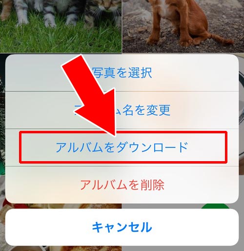 LINEのアルバムを一括保存して共有する|LINEアルバムの転送方法!写真の一括転送や一括保存もできます