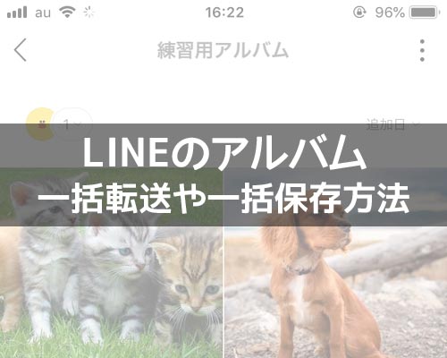 LINEのアルバム写真転送方法!写真の一括転送や一括保存も簡単にできます