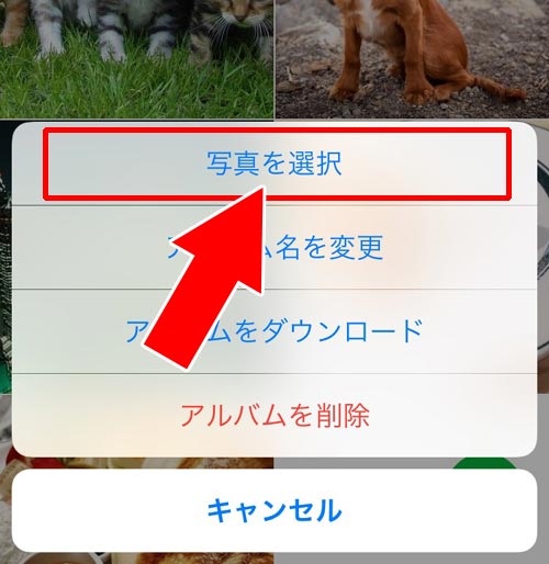 アルバムの写真を一括でまとめて友達に転送する|LINEのアルバム写真転送方法!写真の一括転送や一括保存も簡単にできます