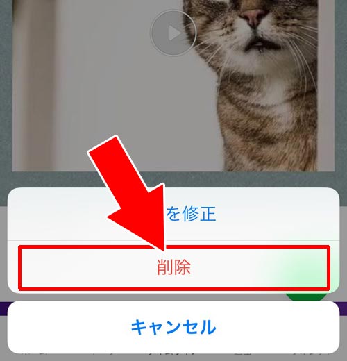 タイムラインからノートの投稿を削除するとノートはどうなる?|LINEでノートに投稿した時のタイムラインの仕組み!非表示や公開範囲の設定などはできません