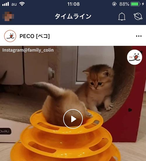 LINEでフォローの使い方(フォロー・フォロー解除)|LINEのフォロー機能とは?フォローのやり方や解除方法など使い方まとめ