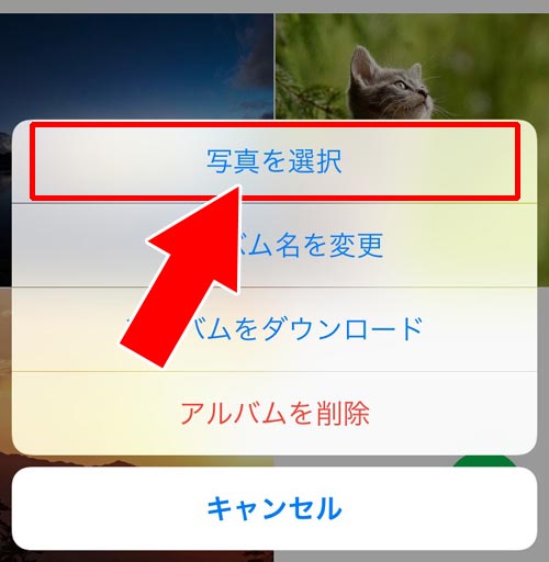 アルバムの写真を一括でまとめて転送する|LINEアルバムの転送方法!写真の一括転送や一括保存もできます
