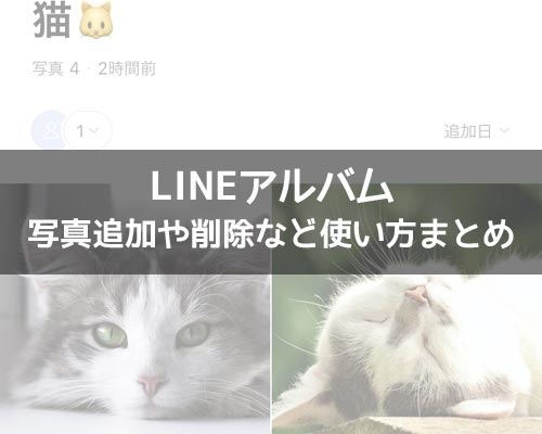 アルバムに関する使い方や仕組み｜LINEの使い方まとめ総合ガイド