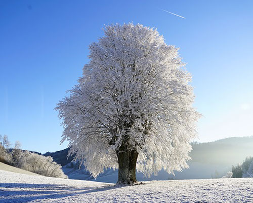 『冬』関連の写真3｜LINEホーム画面のカバー写真（ホーム画像）に使える写真一覧