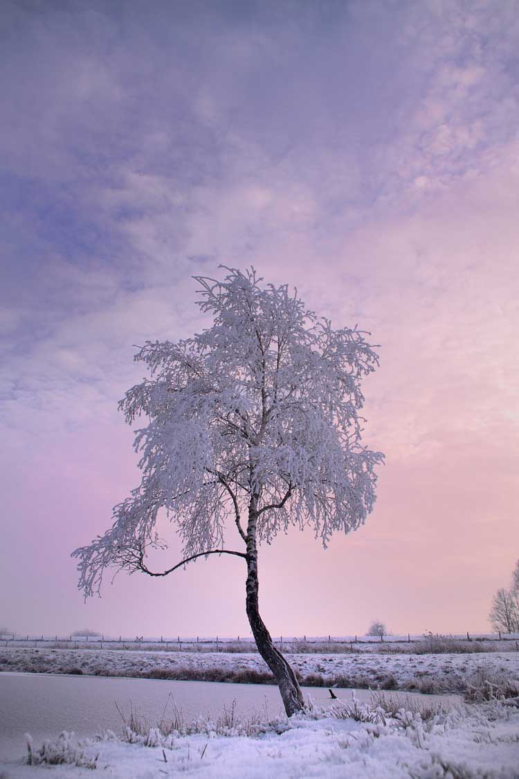 『冬』関連の写真10｜LINEトーク画面の背景画像（壁紙）に使える写真一覧