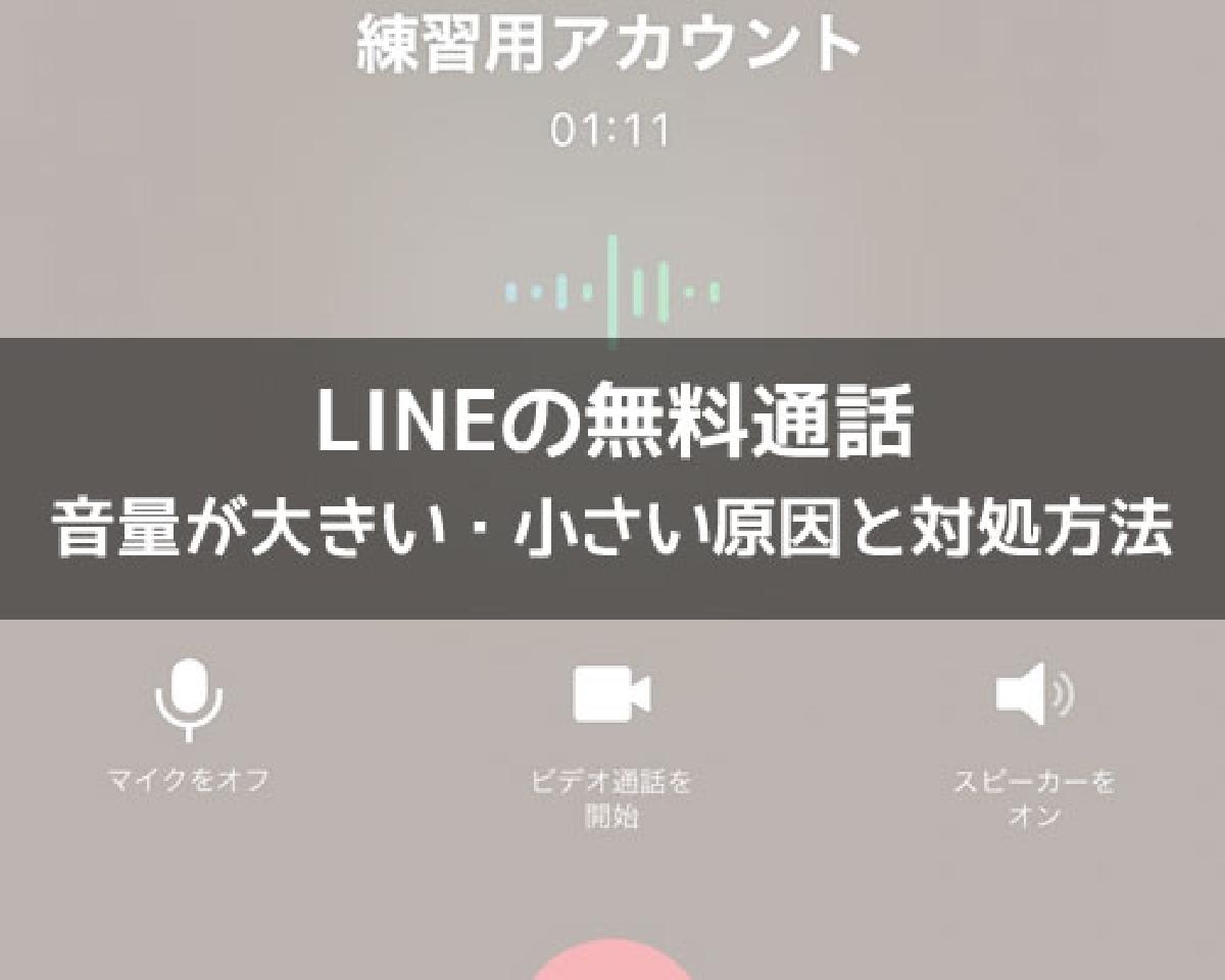 line 通話 スピーカー コレクション 小さい