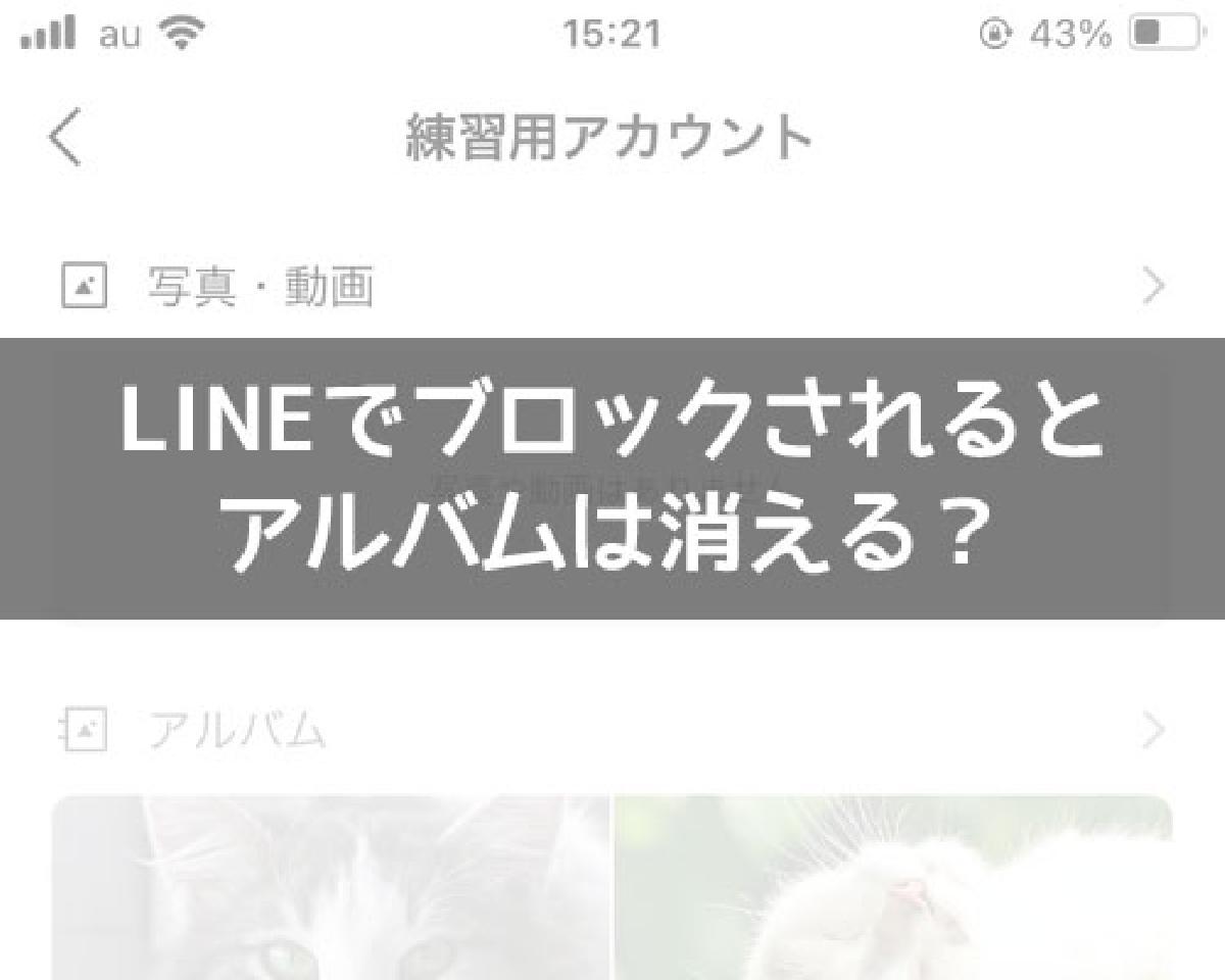 LINEでブロックされるとアルバムは消える？｜LINEの使い方まとめ総合ガイド